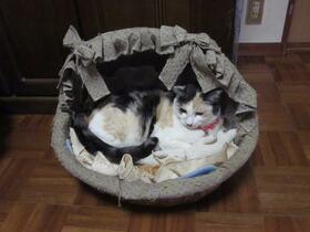 16/16 その他画像