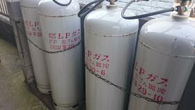 15/16 その他画像