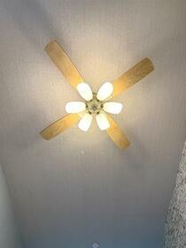 16/16 その他画像