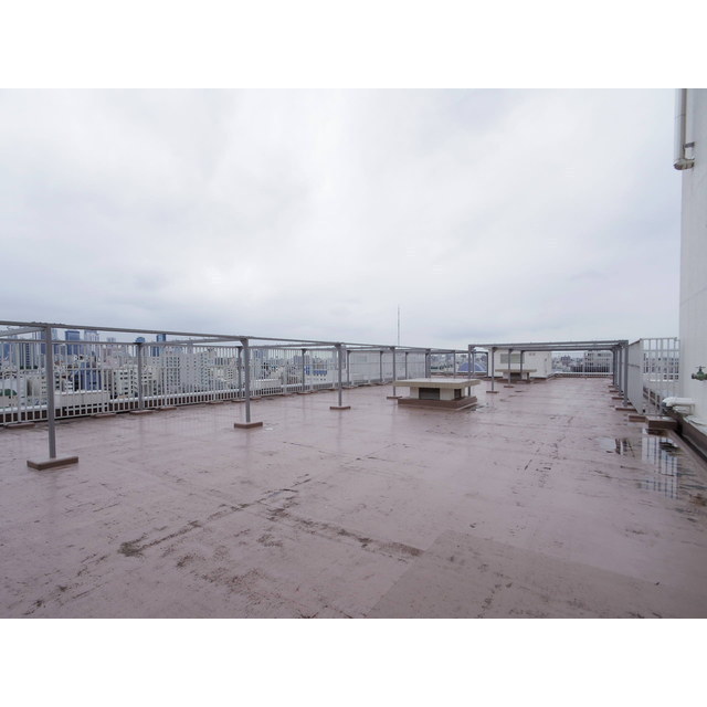 11/11 その他画像