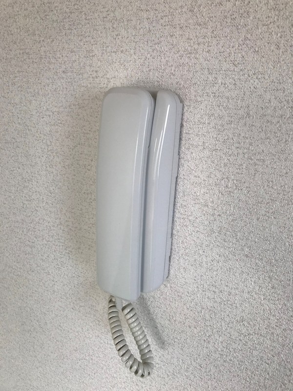 11/15 その他画像