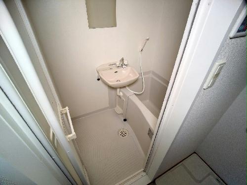 8/14 その他画像