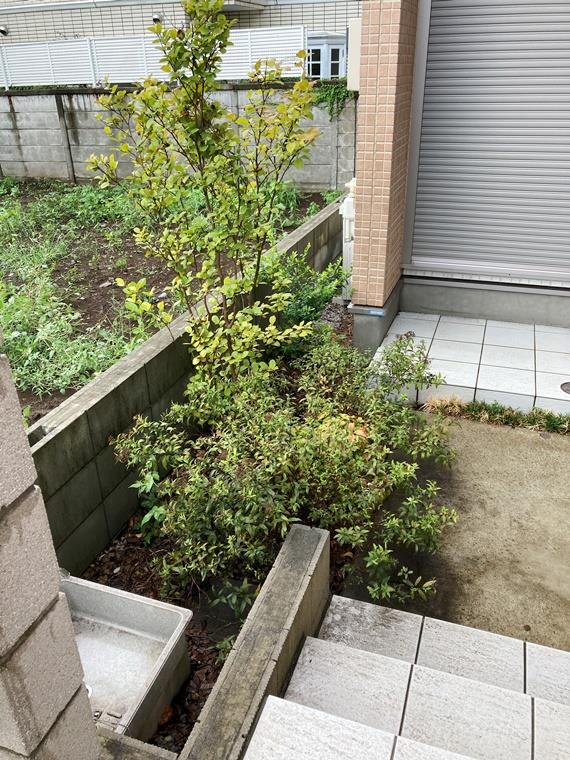 16/18 その他画像