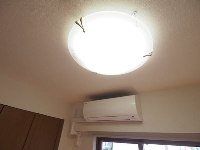 21/24 その他画像