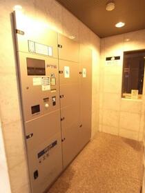 15/16 その他画像