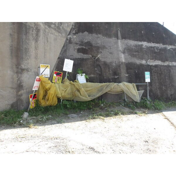 10/11 その他画像