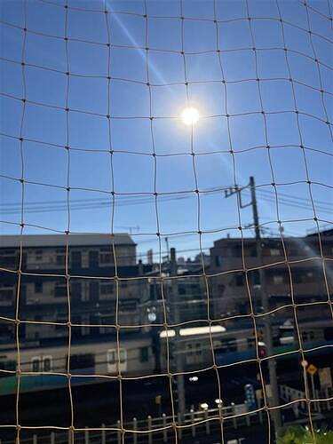 11/11 その他画像