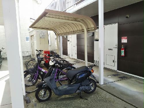 11/24 その他画像