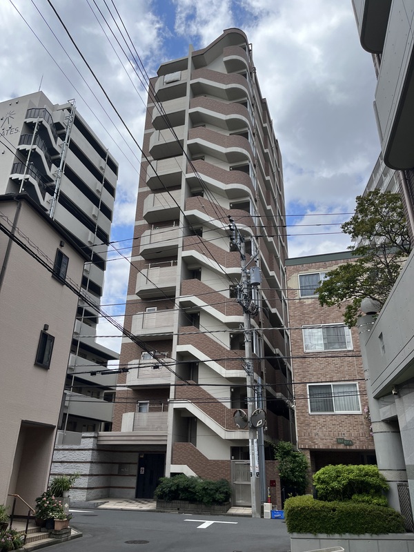 11/11 その他画像