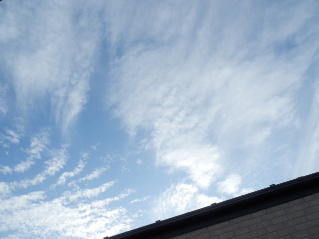 16/29 その他画像