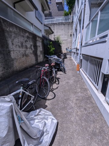 11/17 その他画像