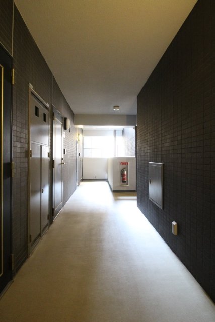 5/15 その他画像