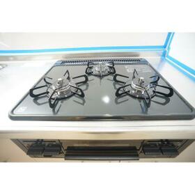 5/12 その他画像