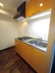 5/16 その他画像