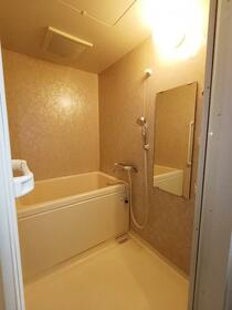 7/16 その他画像