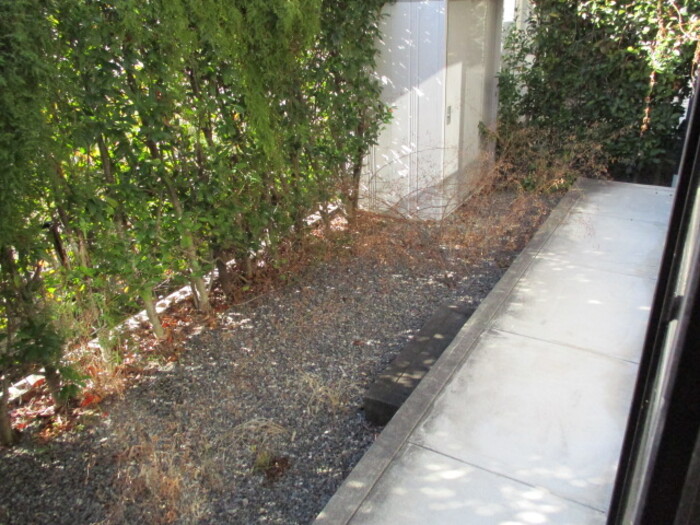 12/15 その他画像