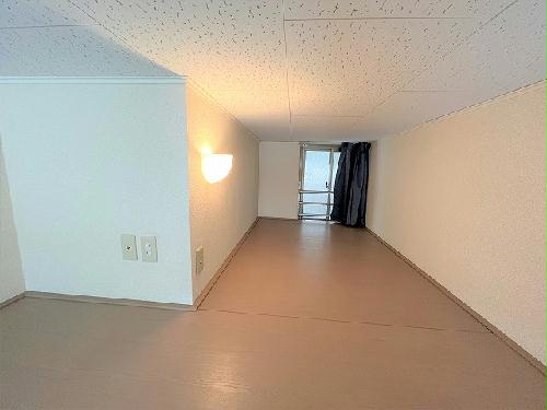 5/15 その他画像