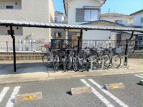 11/15 その他画像