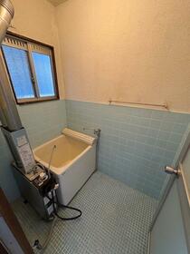 5/11 その他画像