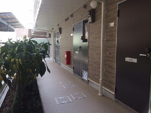 5/13 その他画像