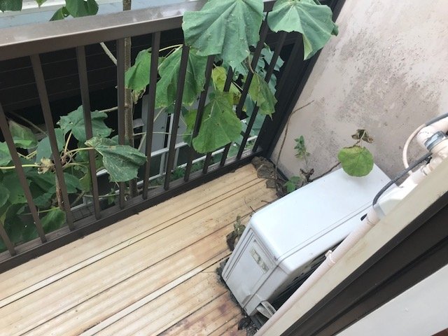 10/16 バルコニー