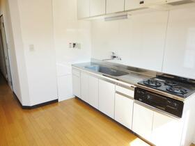 3/16 その他画像