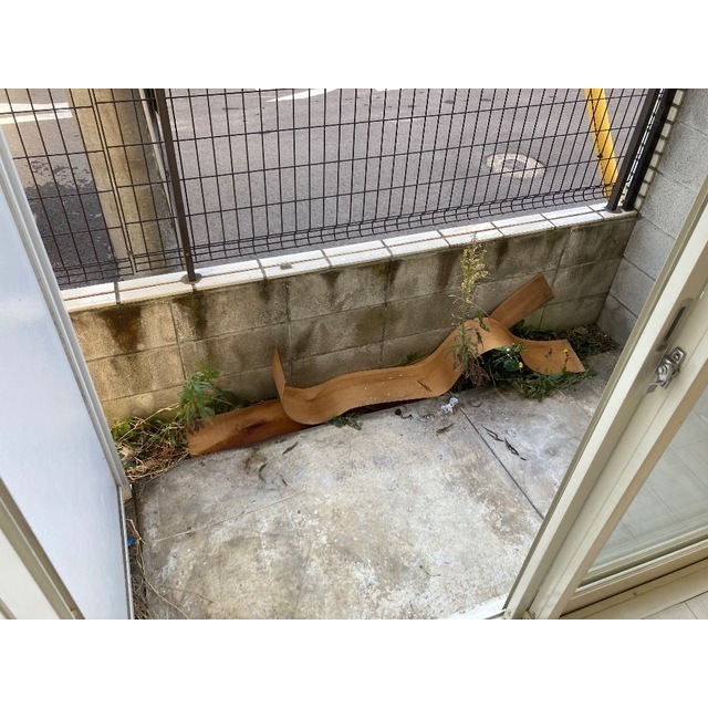 17/20 その他画像