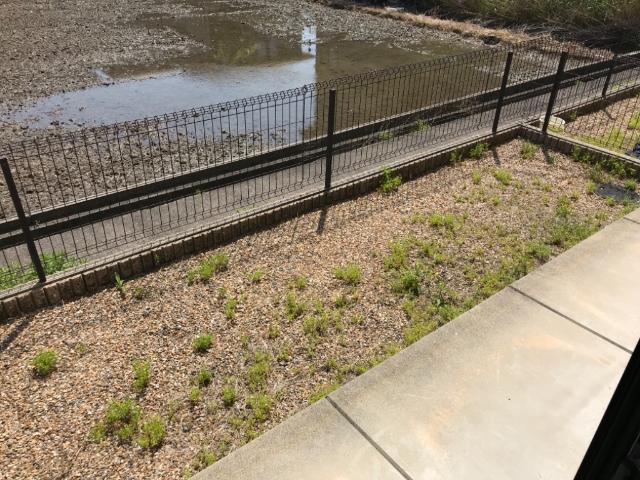 19/29 その他画像