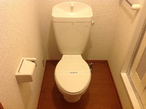 11/21 その他画像