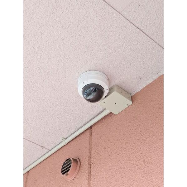 8/11 その他画像