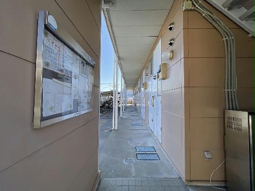 5/12 その他画像