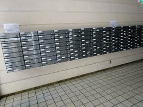 11/16 その他画像