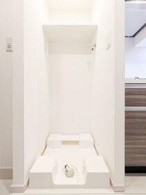 11/11 その他画像