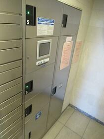 15/16 その他画像