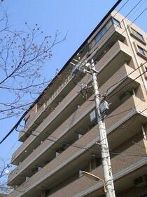 13/15 その他画像