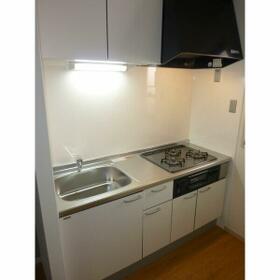 5/12 その他画像