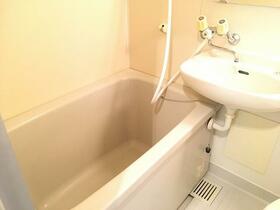 6/16 その他画像