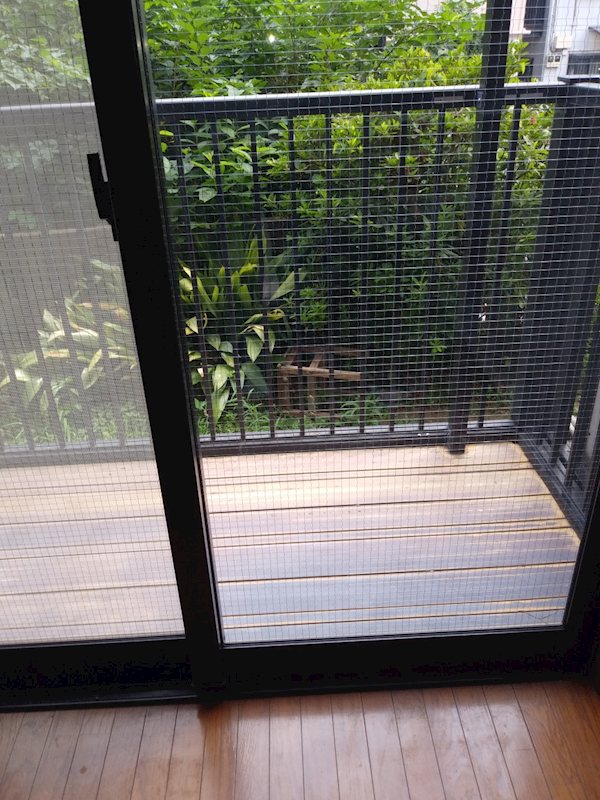 11/14 バルコニー