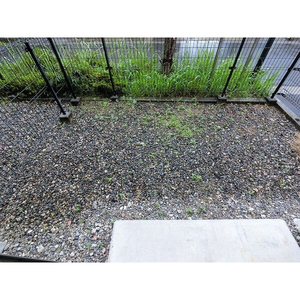 11/16 その他画像