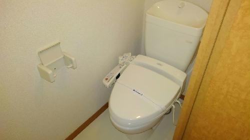 11/14 その他画像