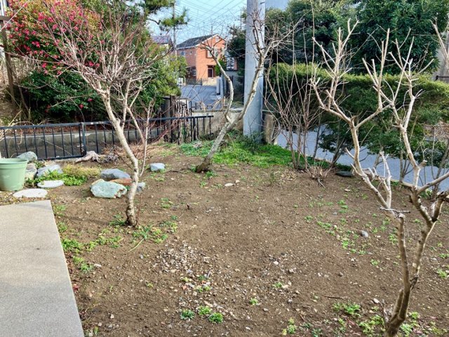 15/20 その他画像