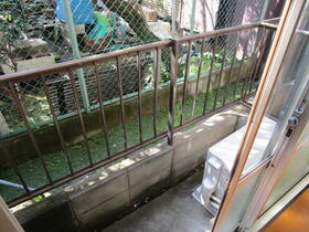 11/11 その他画像