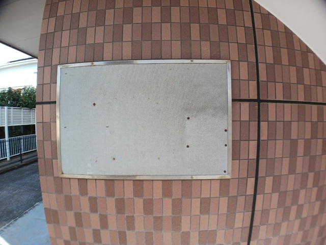 11/19 その他画像