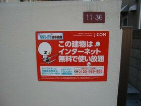 8/12 その他画像