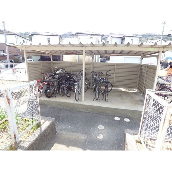 5/17 その他画像