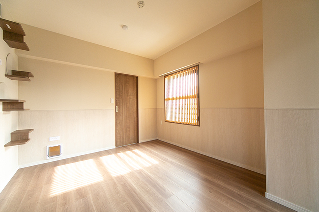 18/19 その他画像