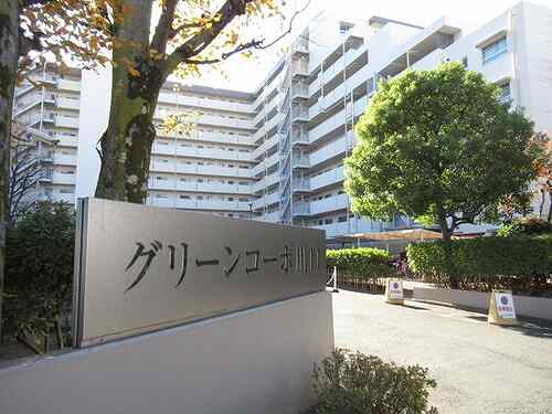 4/11 その他画像