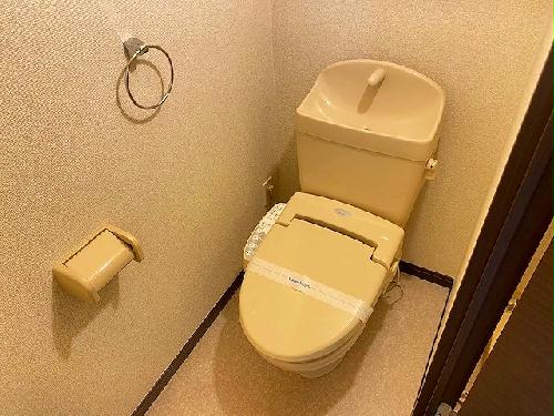 11/14 その他画像