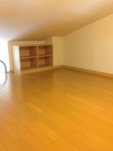 8/14 その他画像