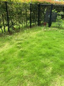 15/17 その他画像